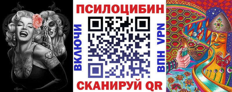 Купить  Гусиноозёрск  Псилоцибиновые грибы Psilocybine cubensis 