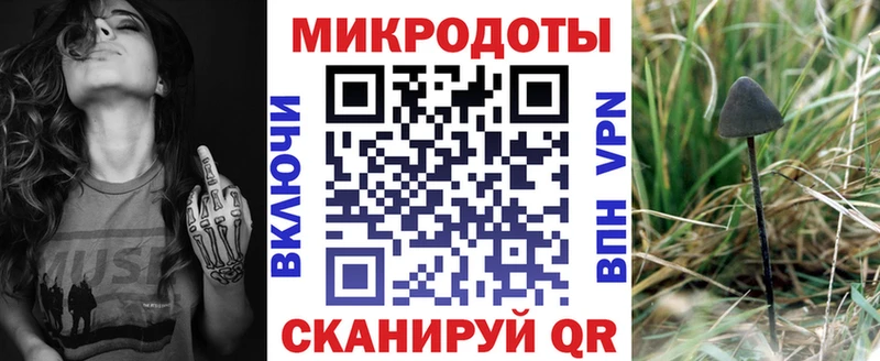 Псилоцибиновые грибы Cubensis Гусиноозёрск